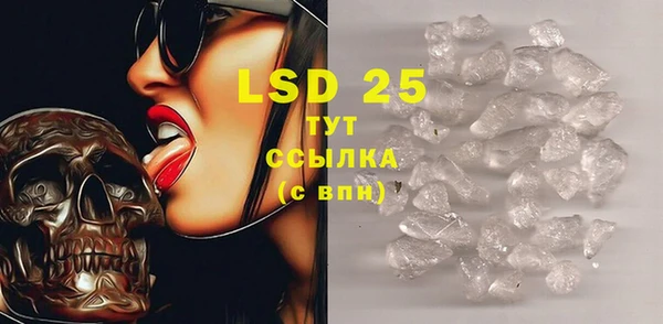 PSILOCYBIN Богородицк