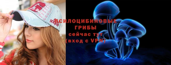 дживик Богданович