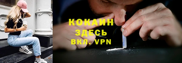 PSILOCYBIN Богородицк