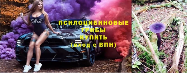 PSILOCYBIN Богородицк