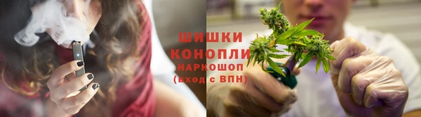 дживик Богданович