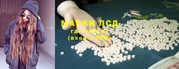 PSILOCYBIN Богородицк